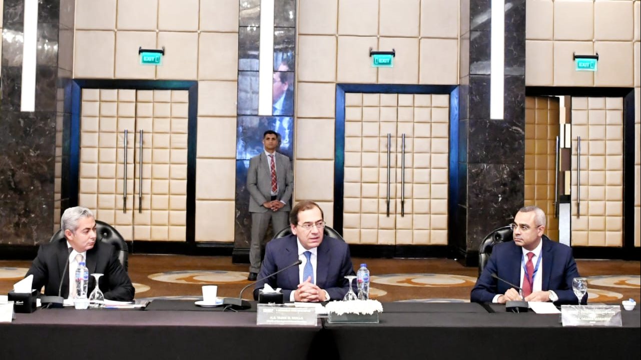 جانب من اللقاء 