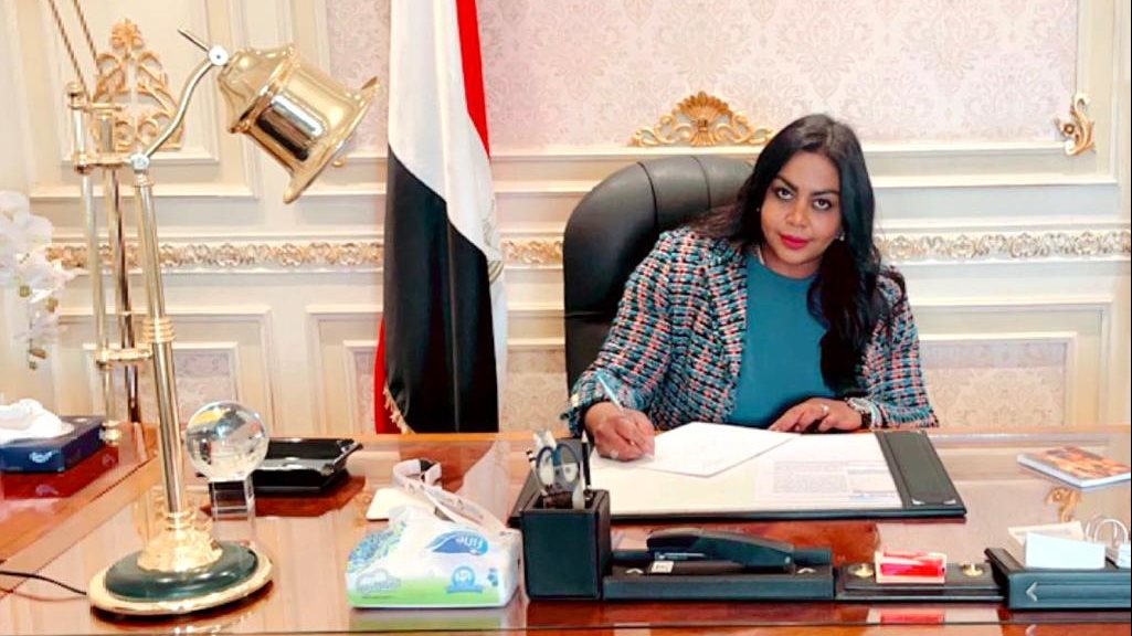 النائبة نيفين حمدى، عضو مجلس النواب 