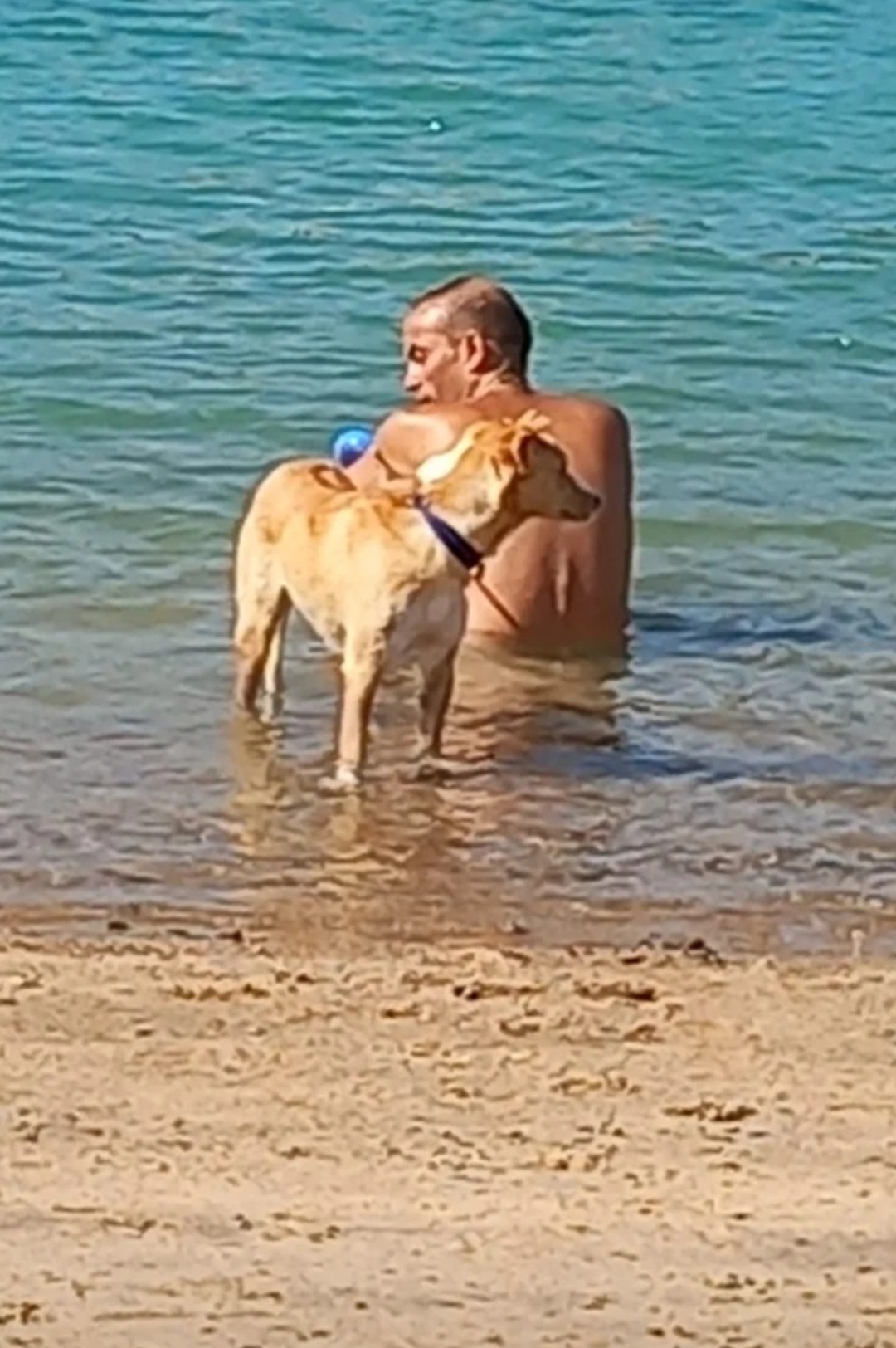 IMG_٢٠٢٣٠٩١٩_٠٣٥٥١٨