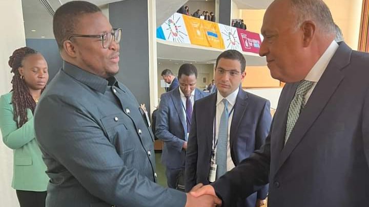 شكري ونظيره السيراليوني