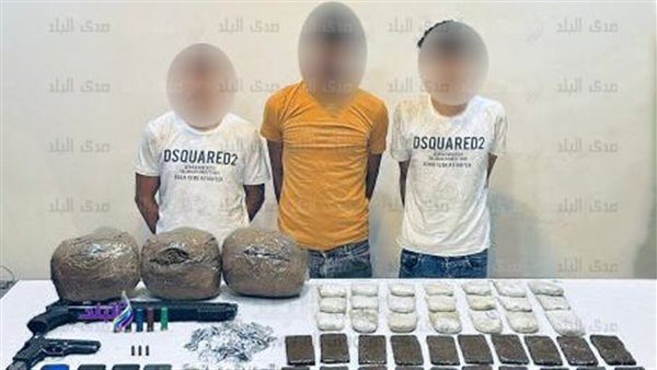 عناصر إجرامية