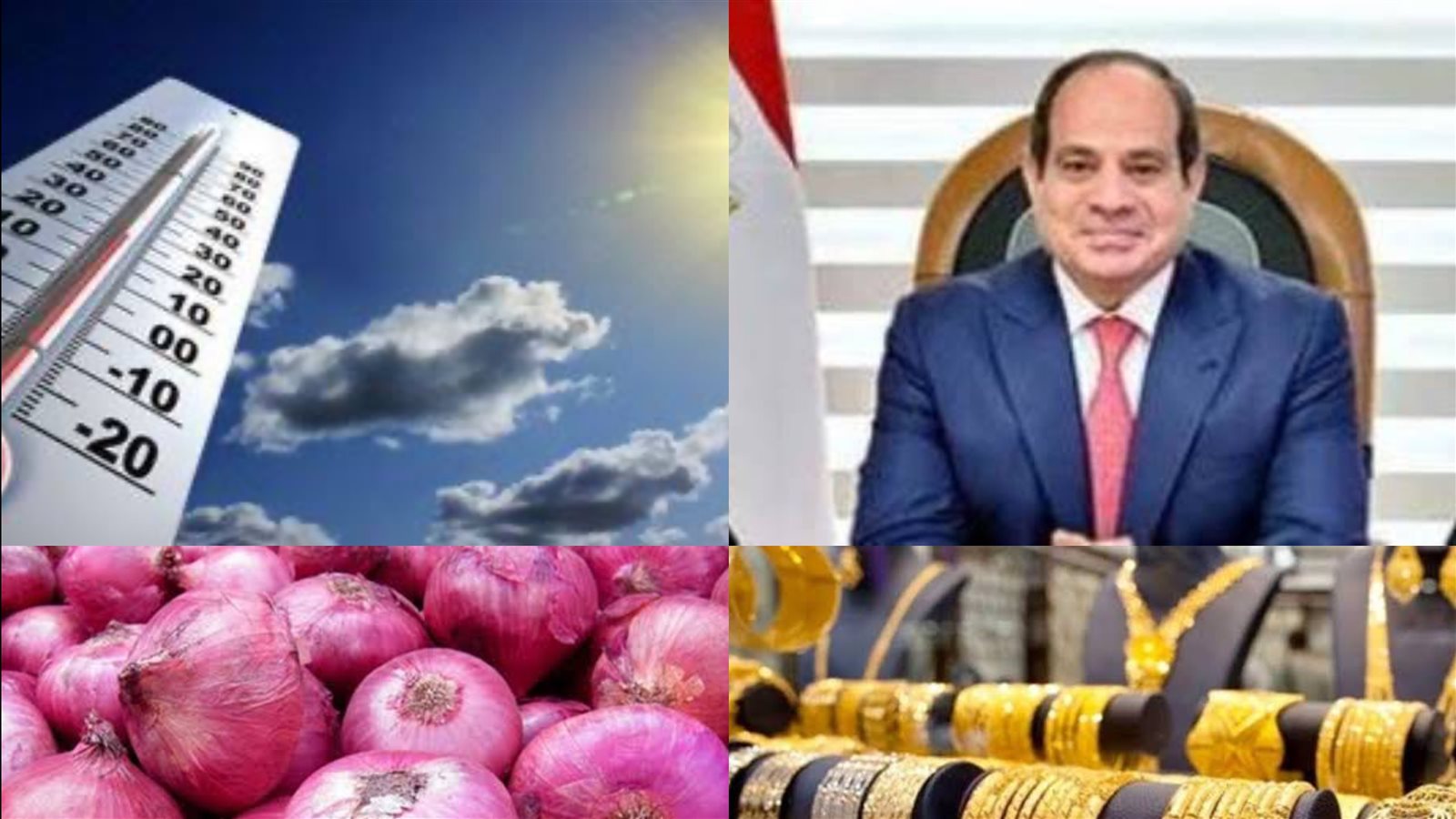 ملف التوك شو