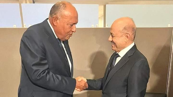 وزير الخارجية يلتقي مع فخامة رئيس مجلس القيادة الرئاسي اليمن