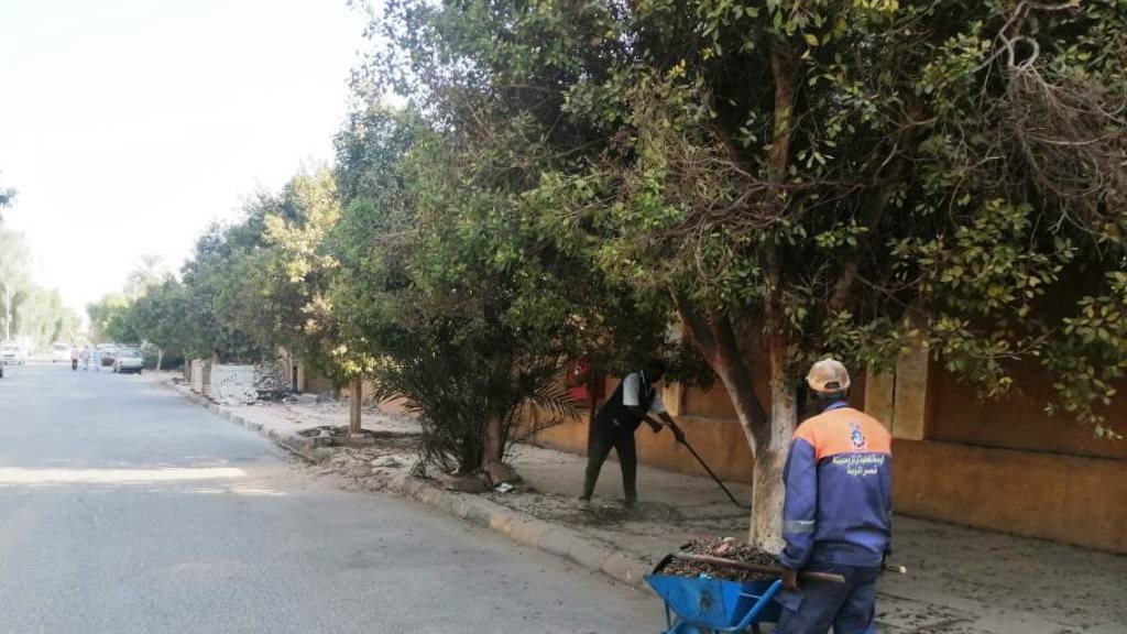 أنشطة وجهود المحليات بأسوان 