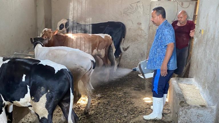 قافلة بيطرية