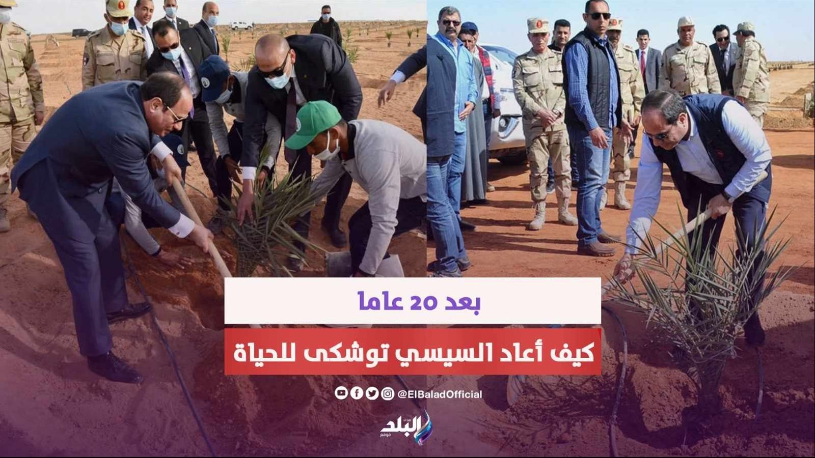 الرئيس السيسي في أرض توشكي بأسوان 