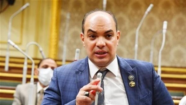 النائب علاء حمدى قريطم عضو مجلس النواب