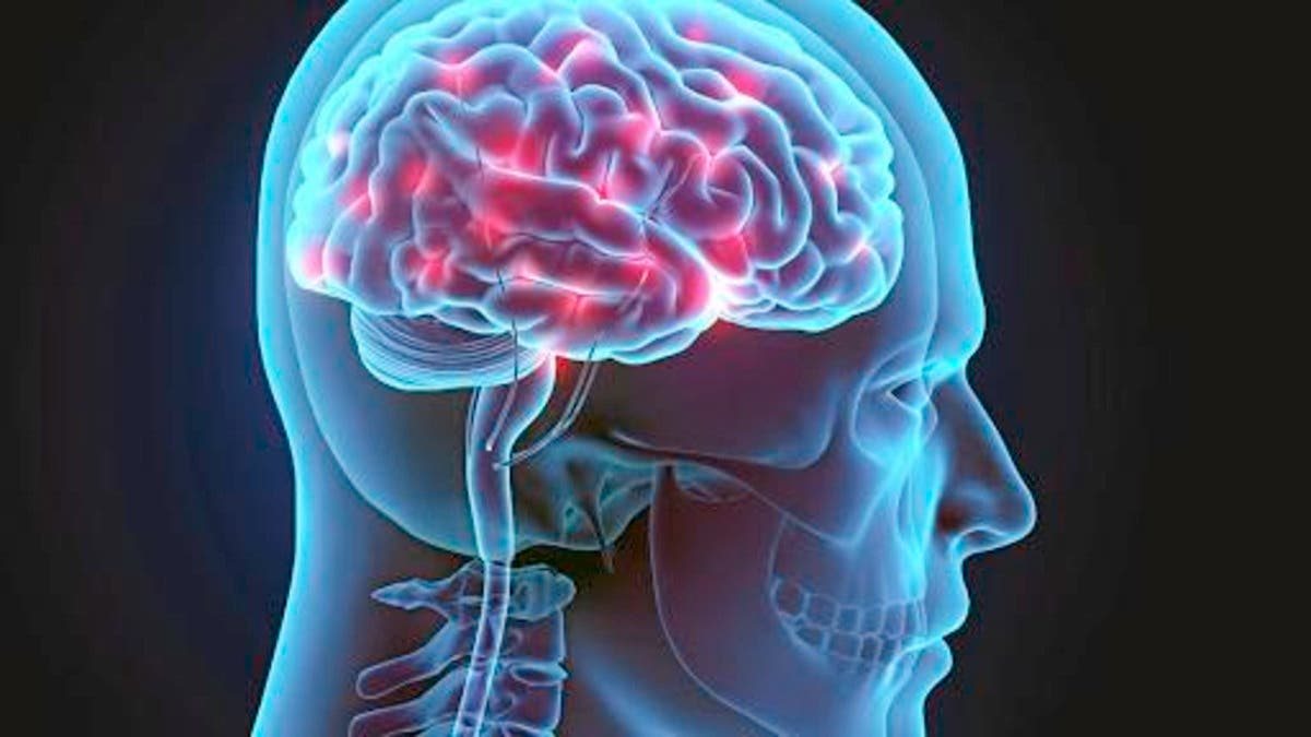 دراسة صادمة.. أصحاب هذه المهن أكثر عرضة للإصابة بالزهايمر 