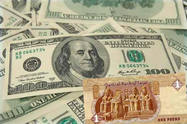مرونة سوق الصرف