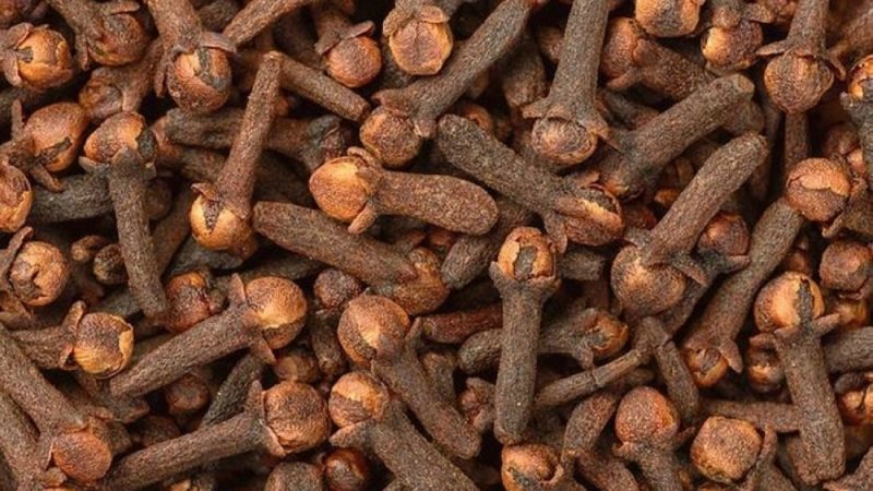 فوائد القرنفل يوميا 