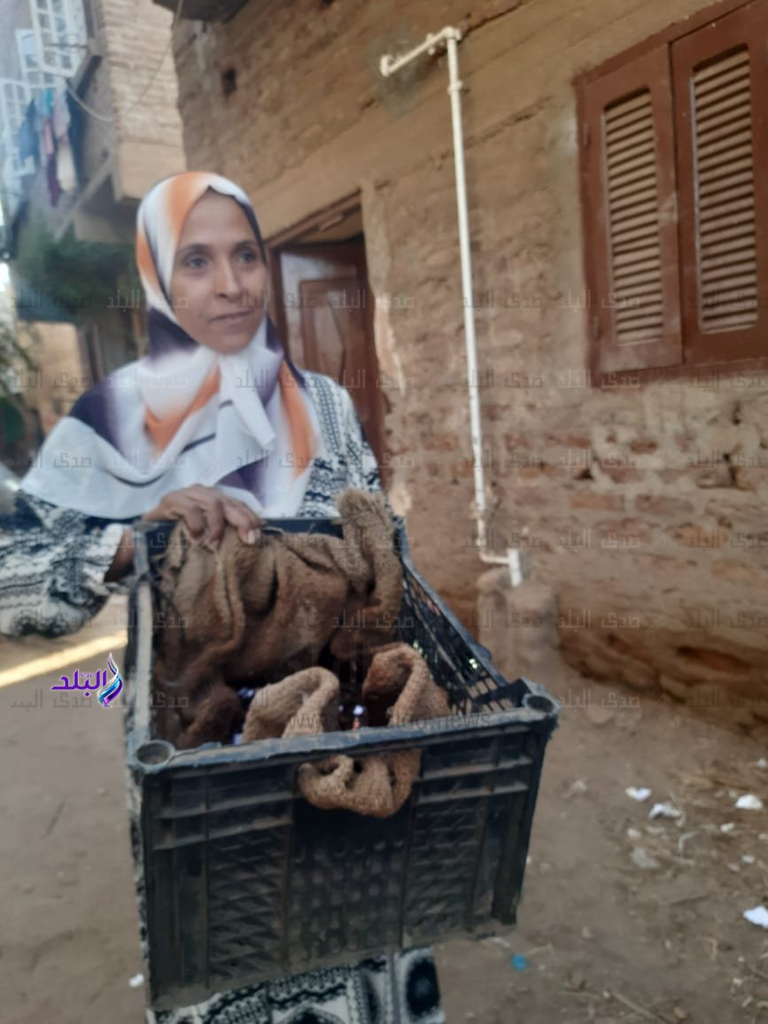 آمنه مع ديدان الفيرمى كمبوست