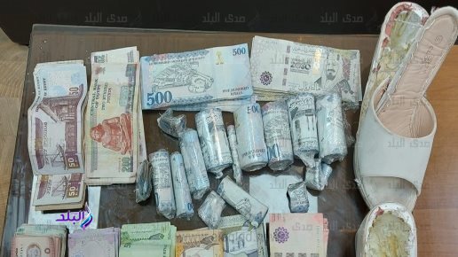 المضبوطات