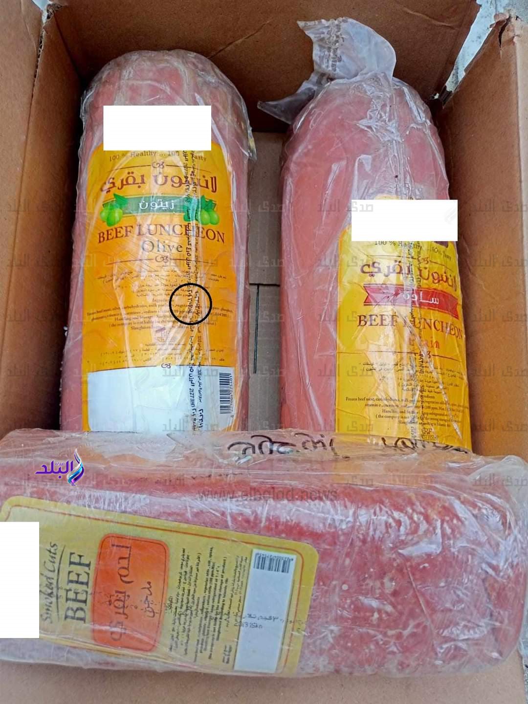 FB_IMG_1695625552944