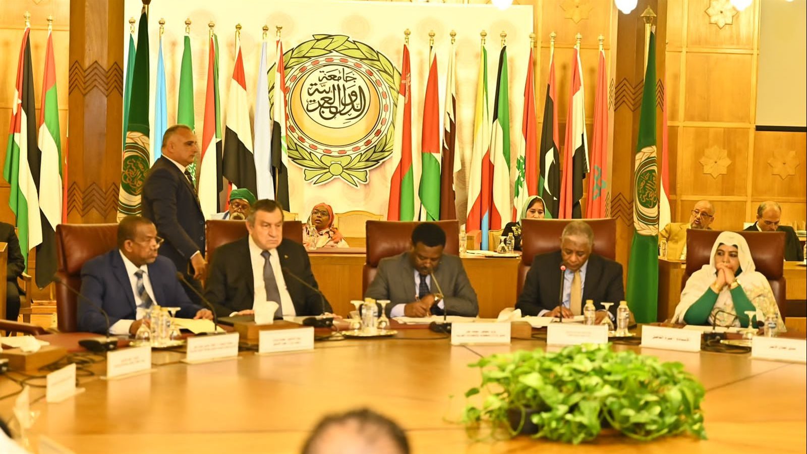 جامعة الدول العربية 