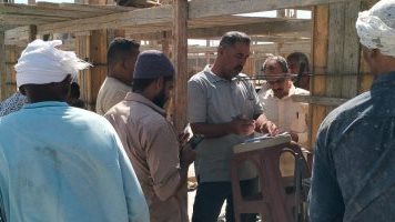 عمالة غير منتظمة بمواقع عمل بالوادى الجديد