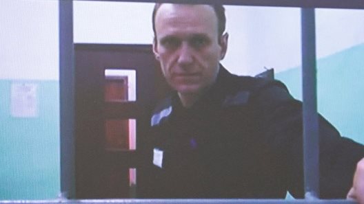 نافالني نافالني