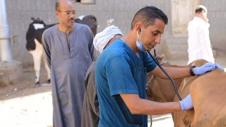 قافله طبيه بيطرية 