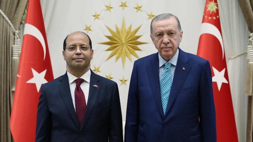 أردوغان والسفير المصري