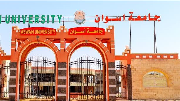 جامعة أسوان