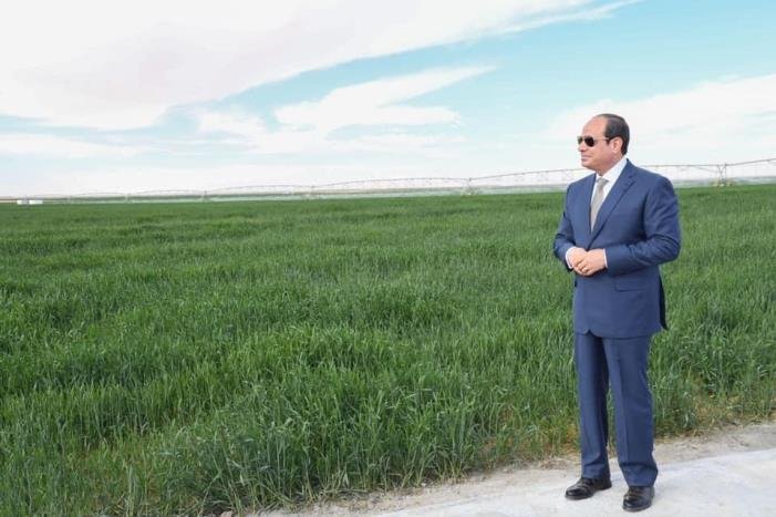 الرئيس السيسي