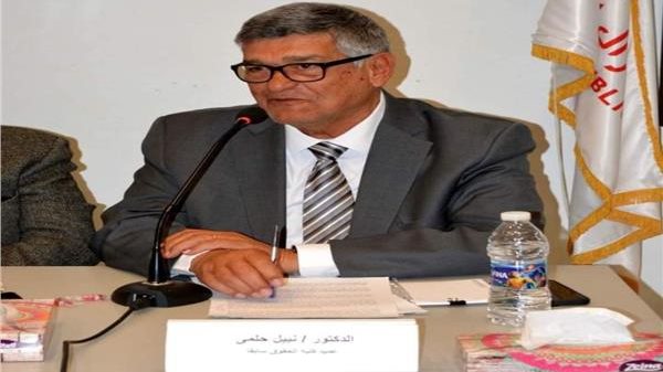   الدكتور نبيل حلمي رئيس جمعية مصر الجديدة
