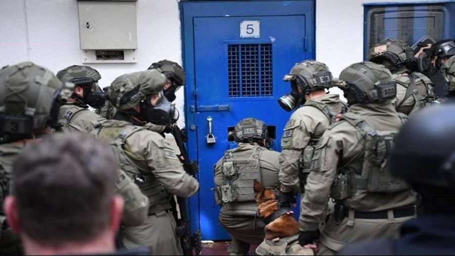 أرشيفية 
