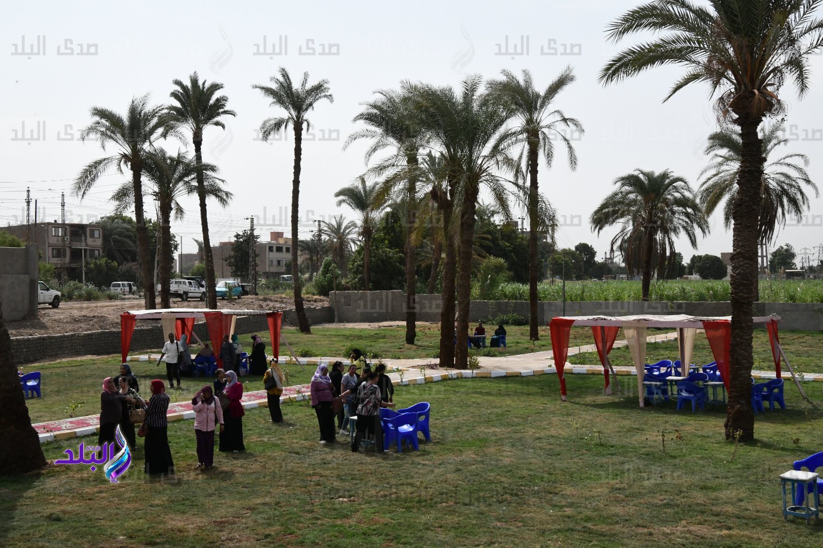 الحديقة العامة بنجع حمادى (8)