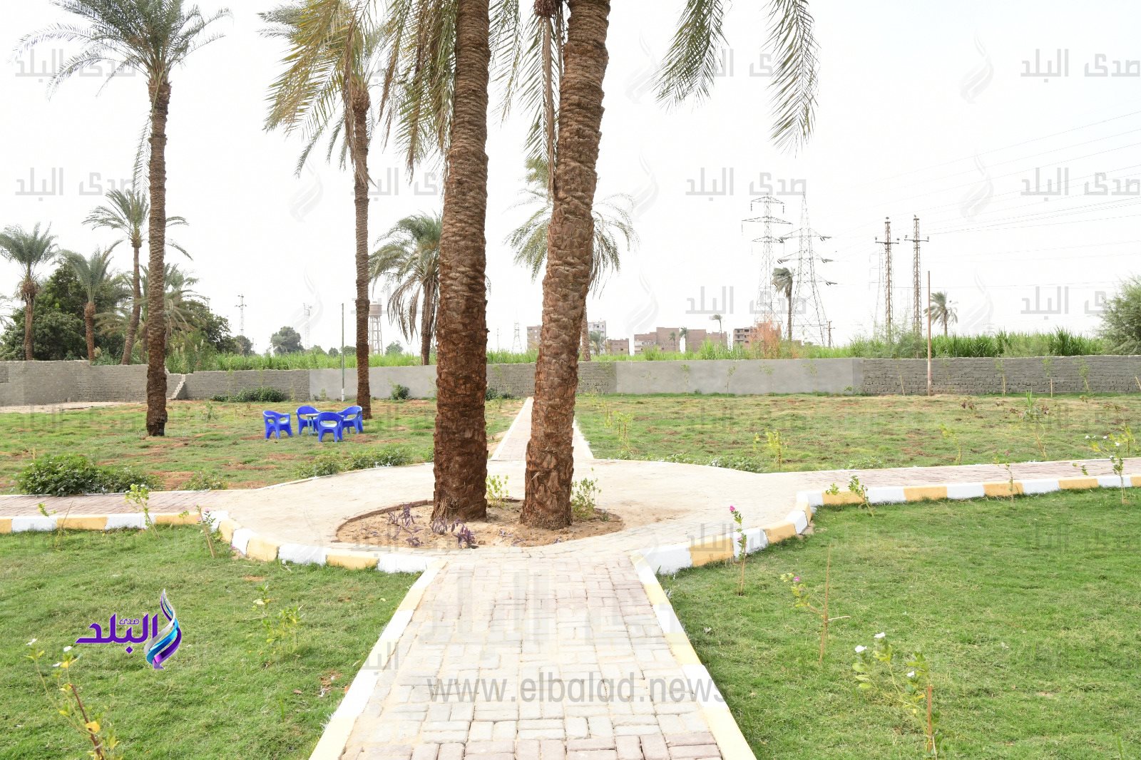 الحديقة العامة بنجع حمادى (4)