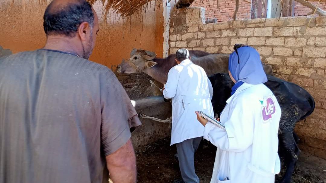 قافلة بيطرية 