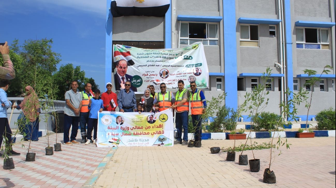 مبادرة لزراعة شتلات الزيتون في العريش 