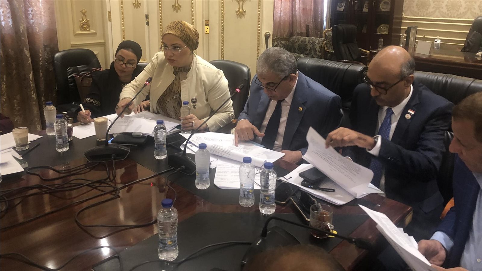 النائبة سولاف درويش وكيل لجنة القوى العاملة بمجلس النواب