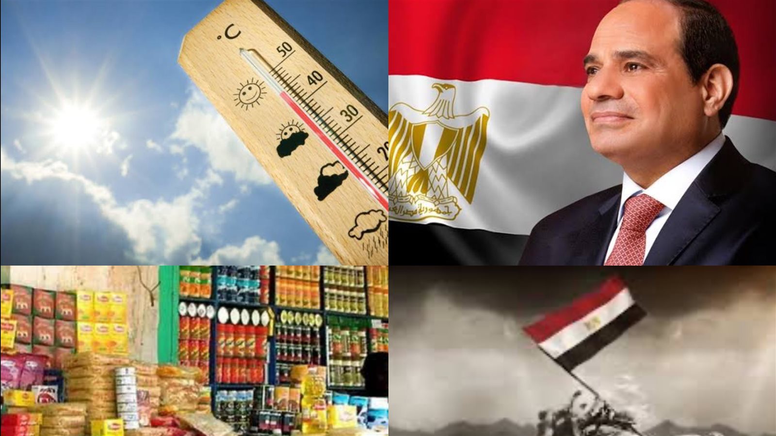 صورة الملف