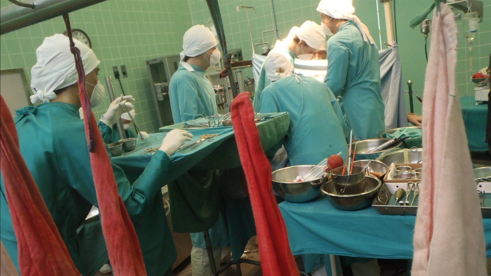 زراعة الأعضاء البشرية