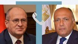 وزيرا الخارجية المصري والبولندى 