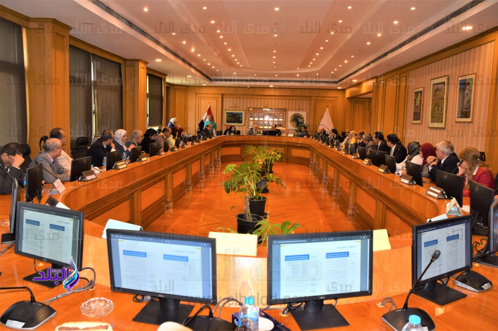 جامعة حلوان.