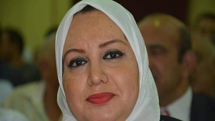 سولاف درويش وكيل لجنة القوى العاملة بمجلس النواب 