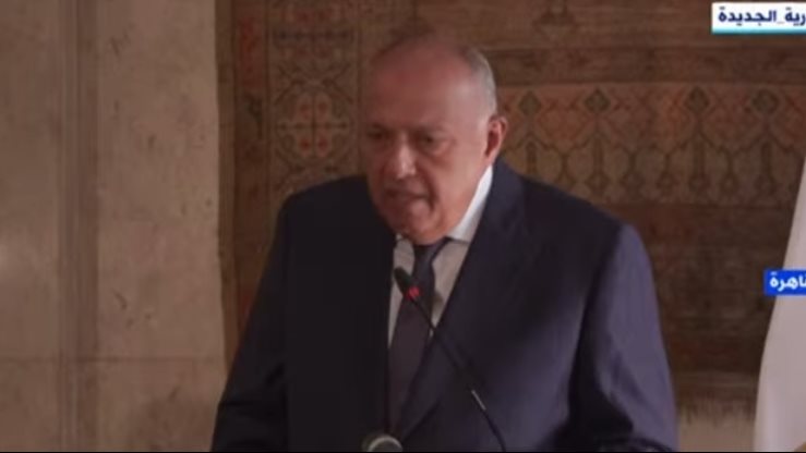 سامح شكري، وزير الخارجية 