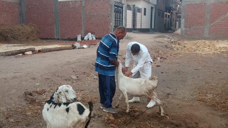 بيطري الغربية 