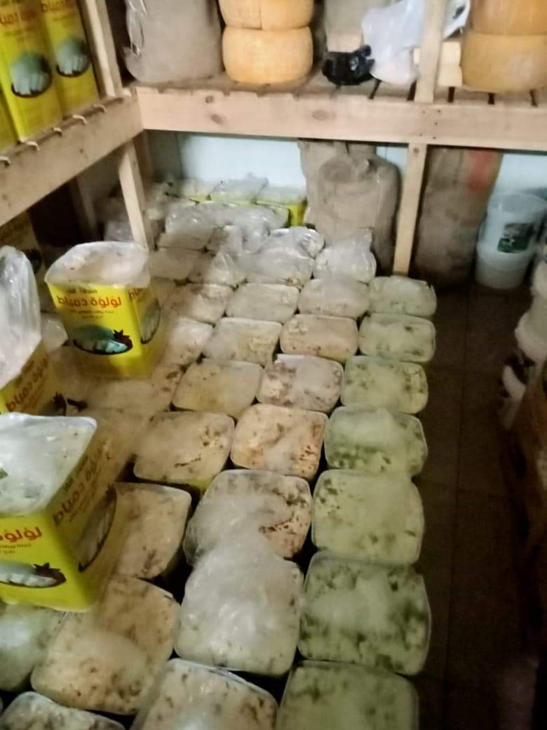 جبن فاسدة