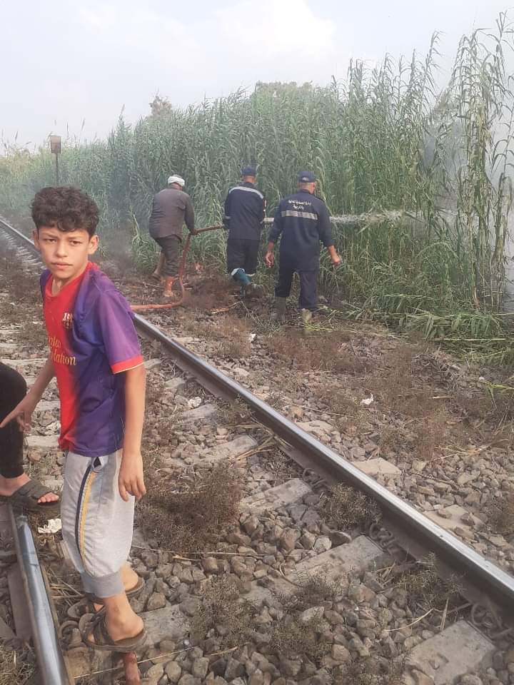 حريق بالغربية 