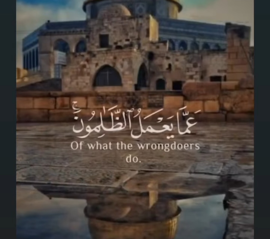 IMG_٢٠٢٣١٠١٤_١٩٠٧٤٤