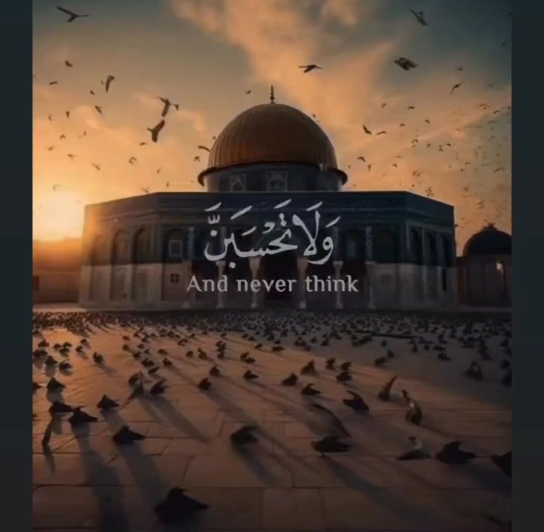 IMG_٢٠٢٣١٠١٤_١٩٠٧٣٦