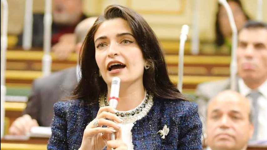 إيرين سعيد، عضو لجنة الصحة بمجلس النواب 