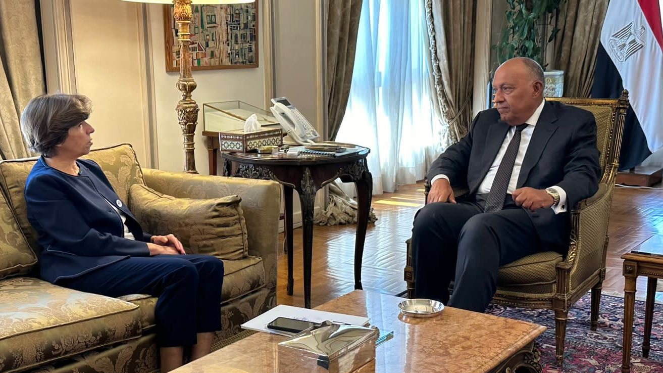 شكري ونظيرته الفرنسية 