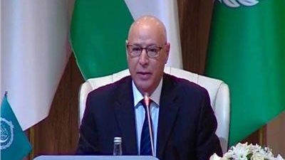 الأمين العام المساعد رئيس قطاع الإعلام والاتصال بجامعة الدول