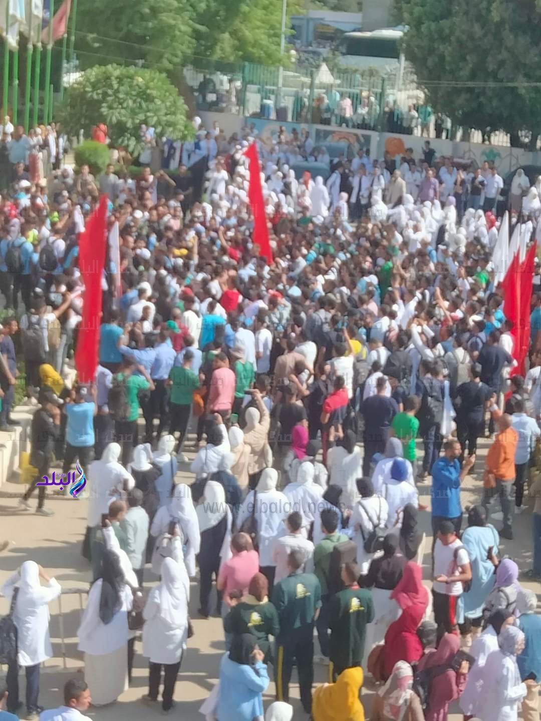 FB_IMG_1697631522472