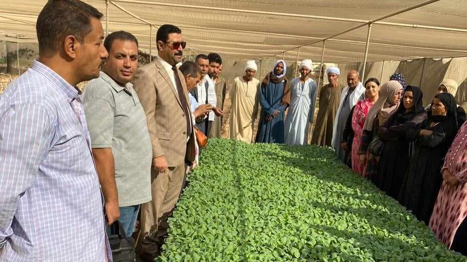 المدارس الحقلية 
