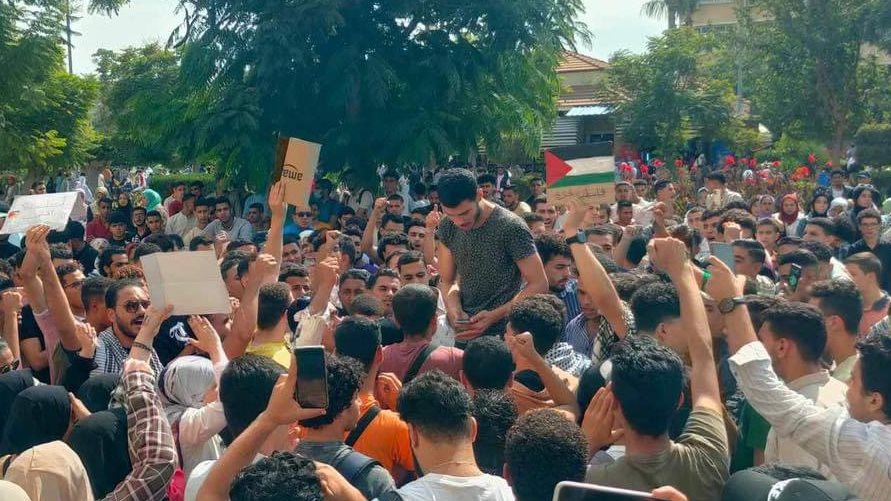 طلاب جامعة المنصورة