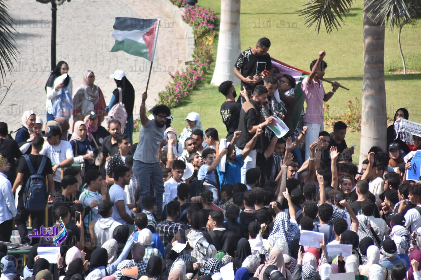 مظاهرات حاشدة لطلاب جامعة عين شمس للتنديد بالعدوان الإسرائيلي على قطاع غزة.2