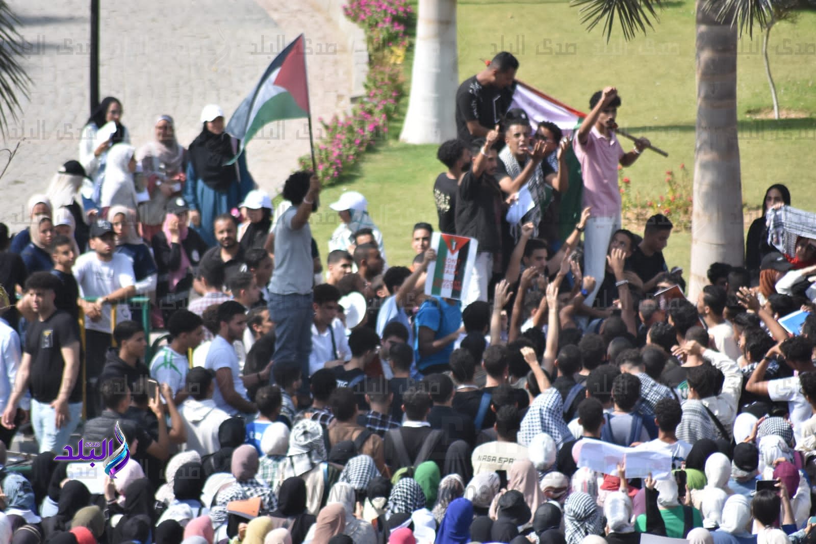 مظاهرات حاشدة لطلاب جامعة عين شمس للتنديد بالعدوان الإسرائيلي على قطاع غزة.